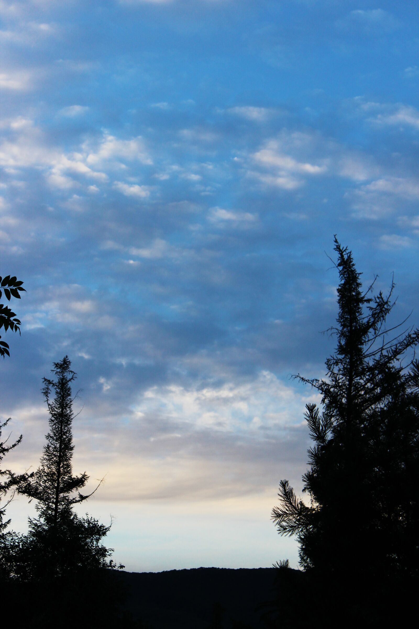 Canon EOS 600D (Rebel EOS T3i / EOS Kiss X5) sample photo. Sky, shadow, cloud photography