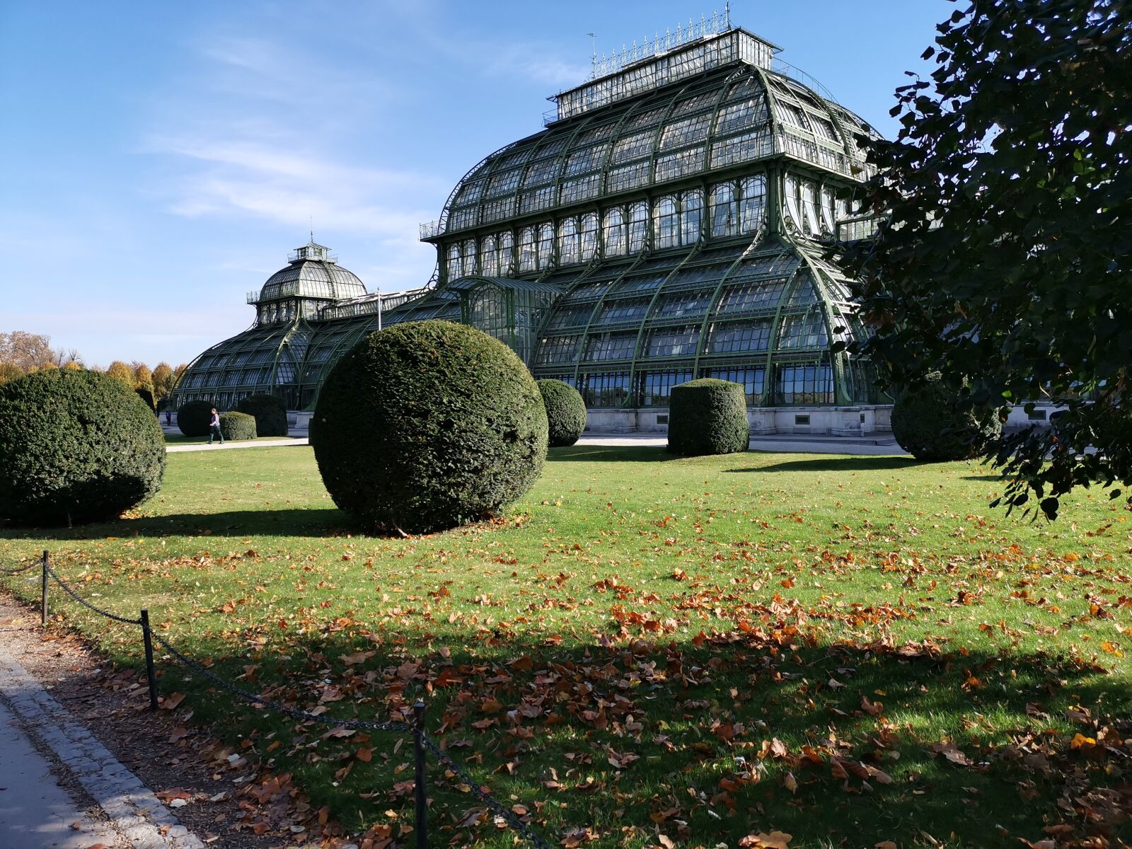 HUAWEI LYA-L29 sample photo. Palm house, sch nbrunn photography
