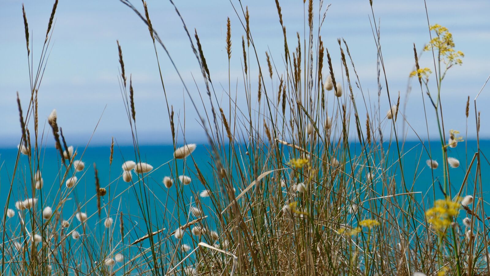 Panasonic Lumix DMC-FZ1000 sample photo. Sea, scene, scenic photography