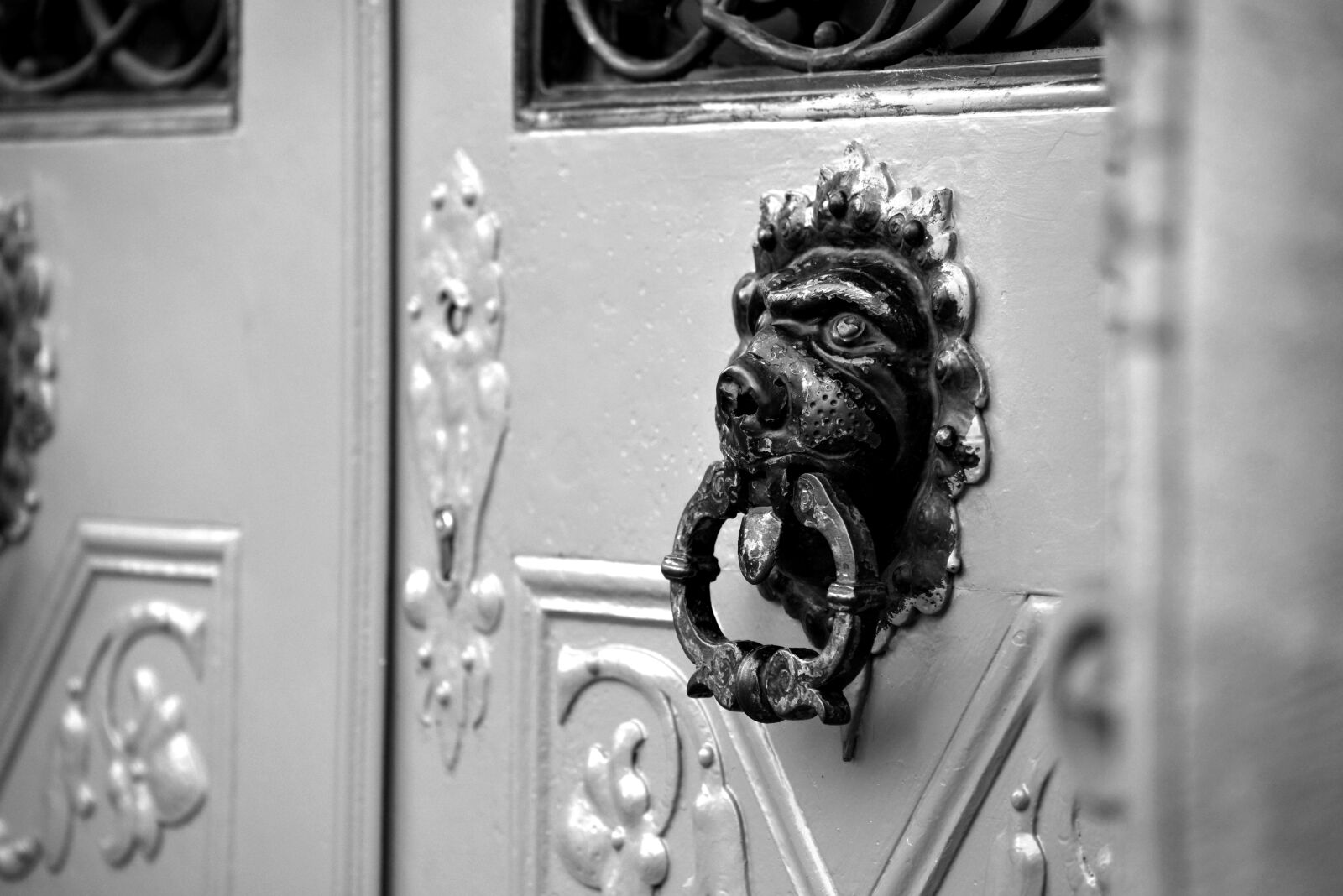 Nikon D610 sample photo. Front door, doorknocker, input photography