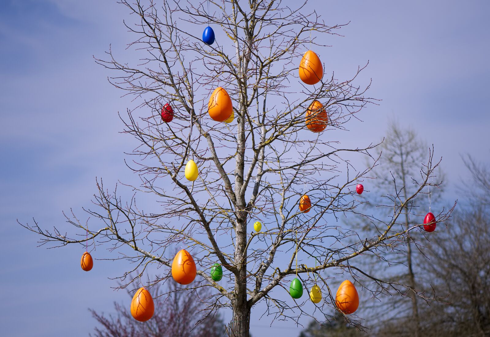 Nikon D7200 sample photo. Tree, easter eggs, colorful photography