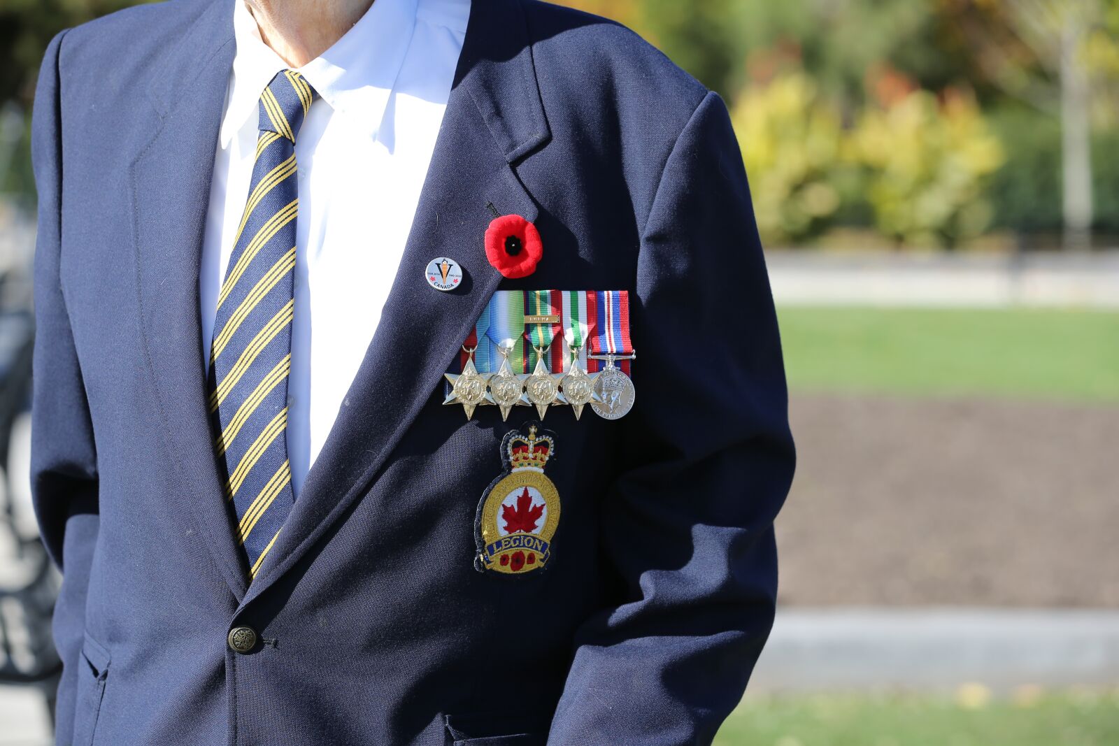 Canon EOS-1D X + Canon EF 70-200mm F2.8L IS II USM sample photo. Remembrance day in canada photography