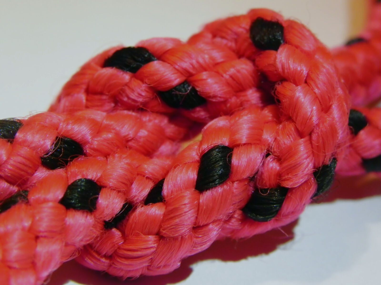 Nikon Coolpix P100 sample photo. Knot, reef photography