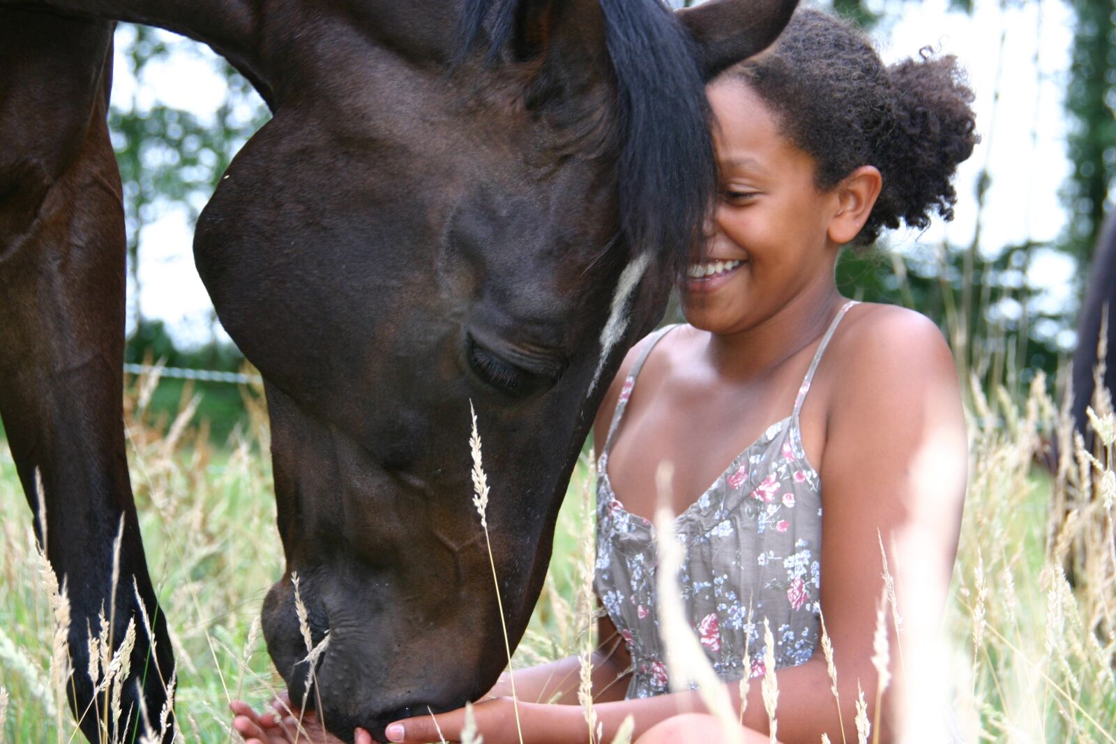 Canon EOS 300D (EOS Digital Rebel / EOS Kiss Digital) sample photo. Horses, girl, happy photography
