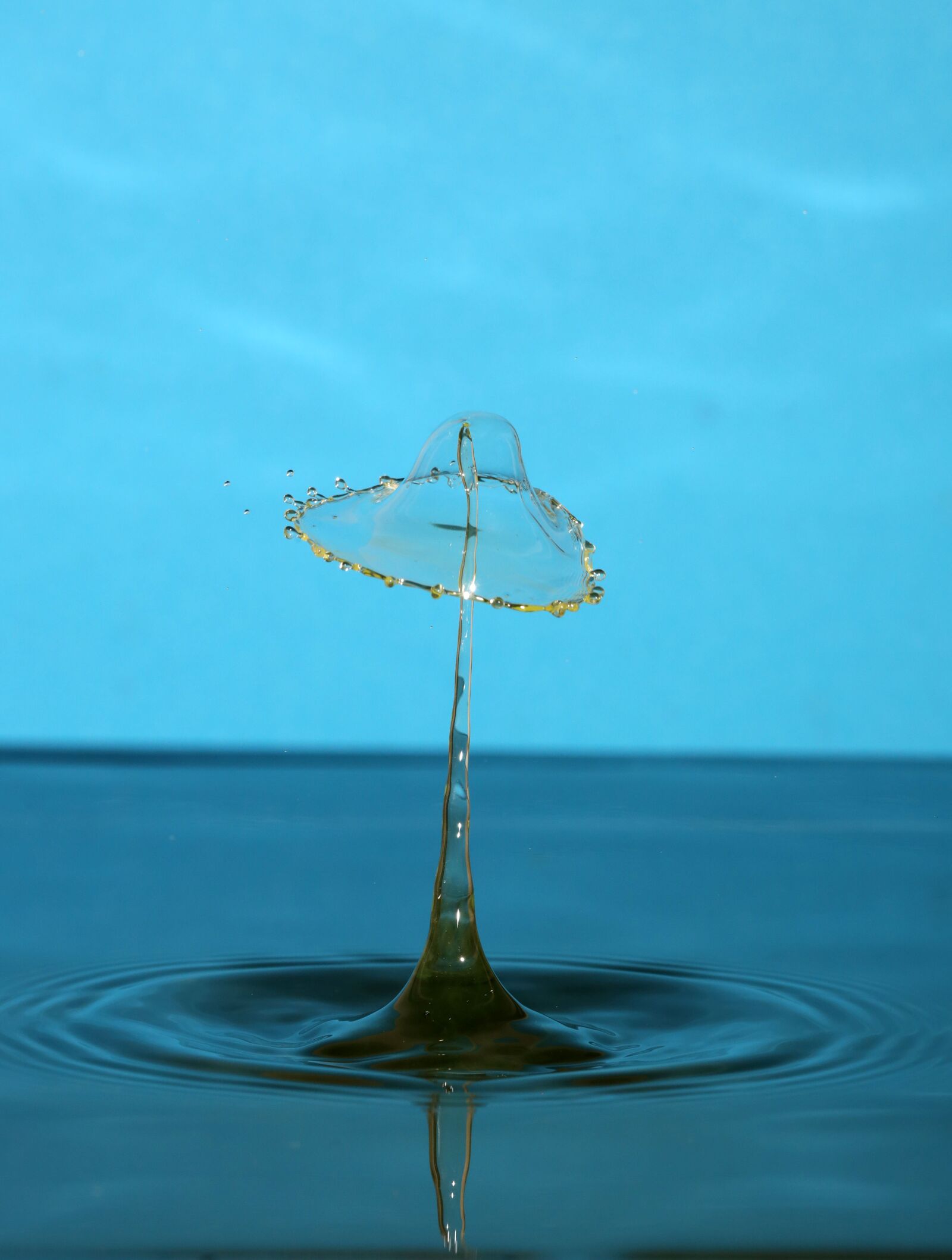 Canon EOS R sample photo. Droplet, water drop, water photography