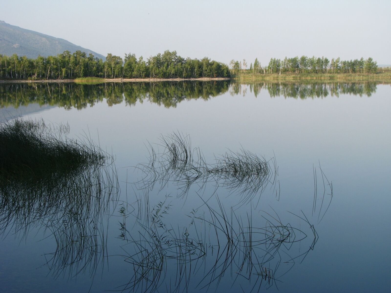 Canon POWERSHOT S5 IS sample photo. Beach, lake, grass photography