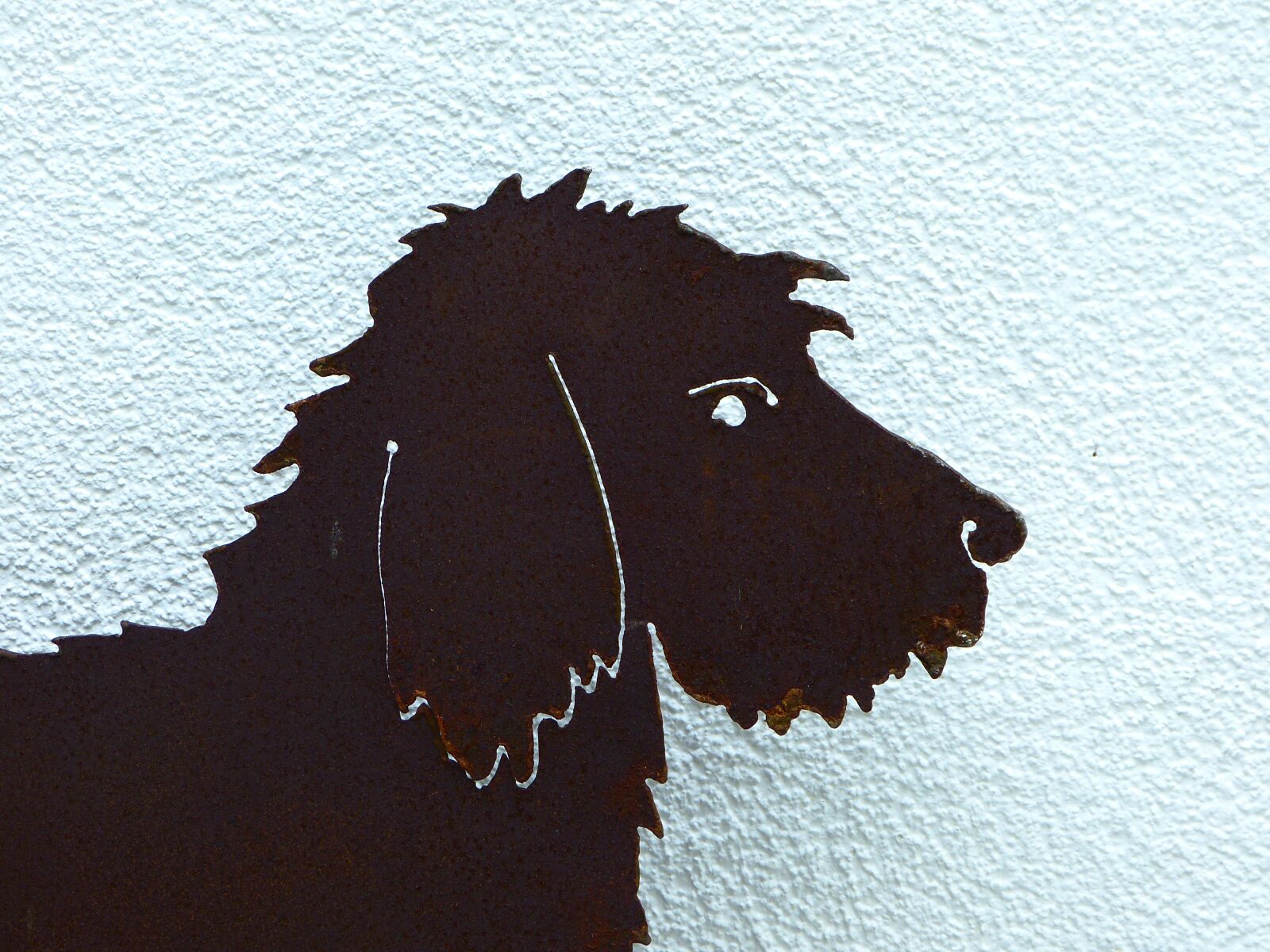 Panasonic Lumix DMC-FZ150 sample photo. Dog, dachshund, art photography