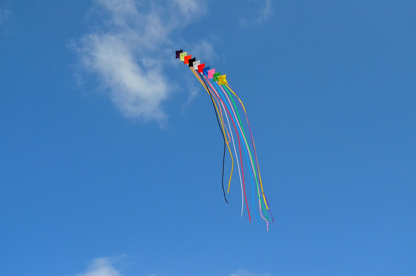 Nikon D5100 sample photo. Dragons, kite, kite flying photography