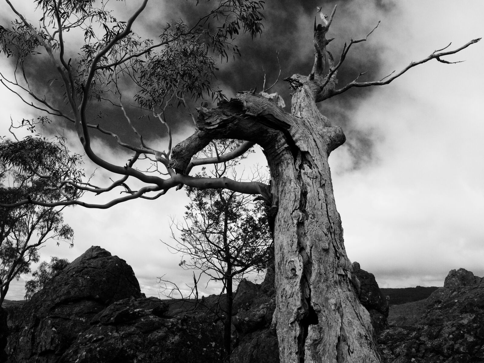 Olympus OM-D E-M10 II sample photo. Black, and, white, clouds photography