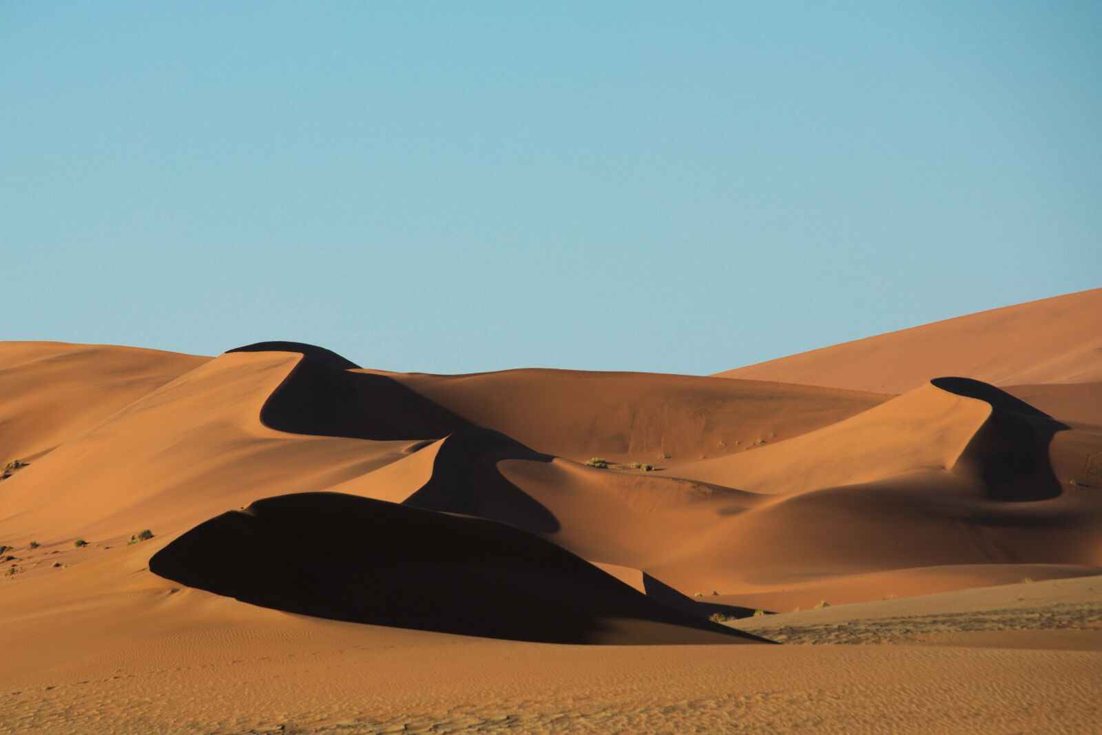 Nikon D5100 sample photo. Desert, sand, namib photography