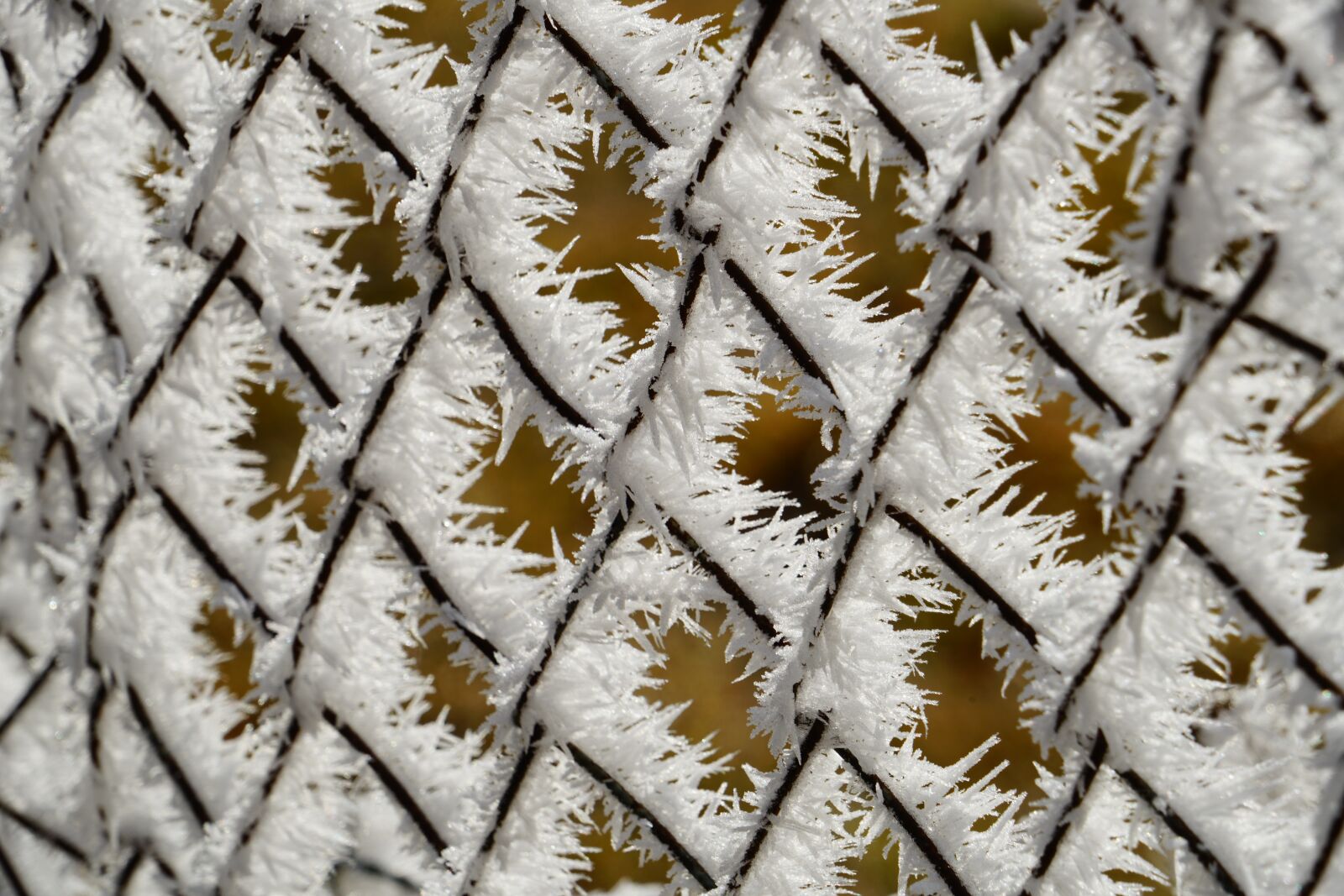 Sony a7R II + Sony FE 24-240mm F3.5-6.3 OSS sample photo. Wire mesh fence, fence photography