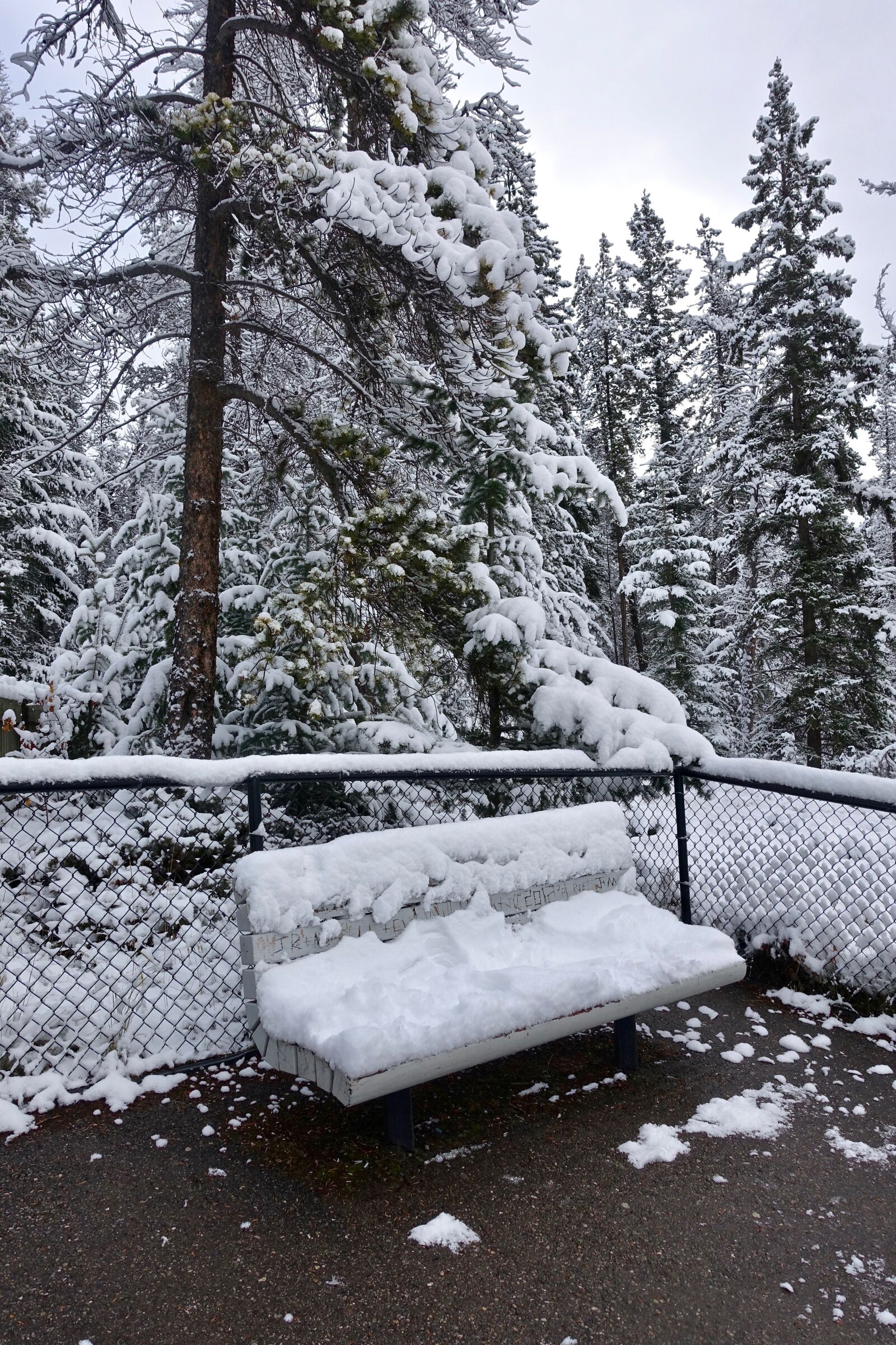 Sony Cyber-shot DSC-RX100 III sample photo. Seat, snow, bench photography