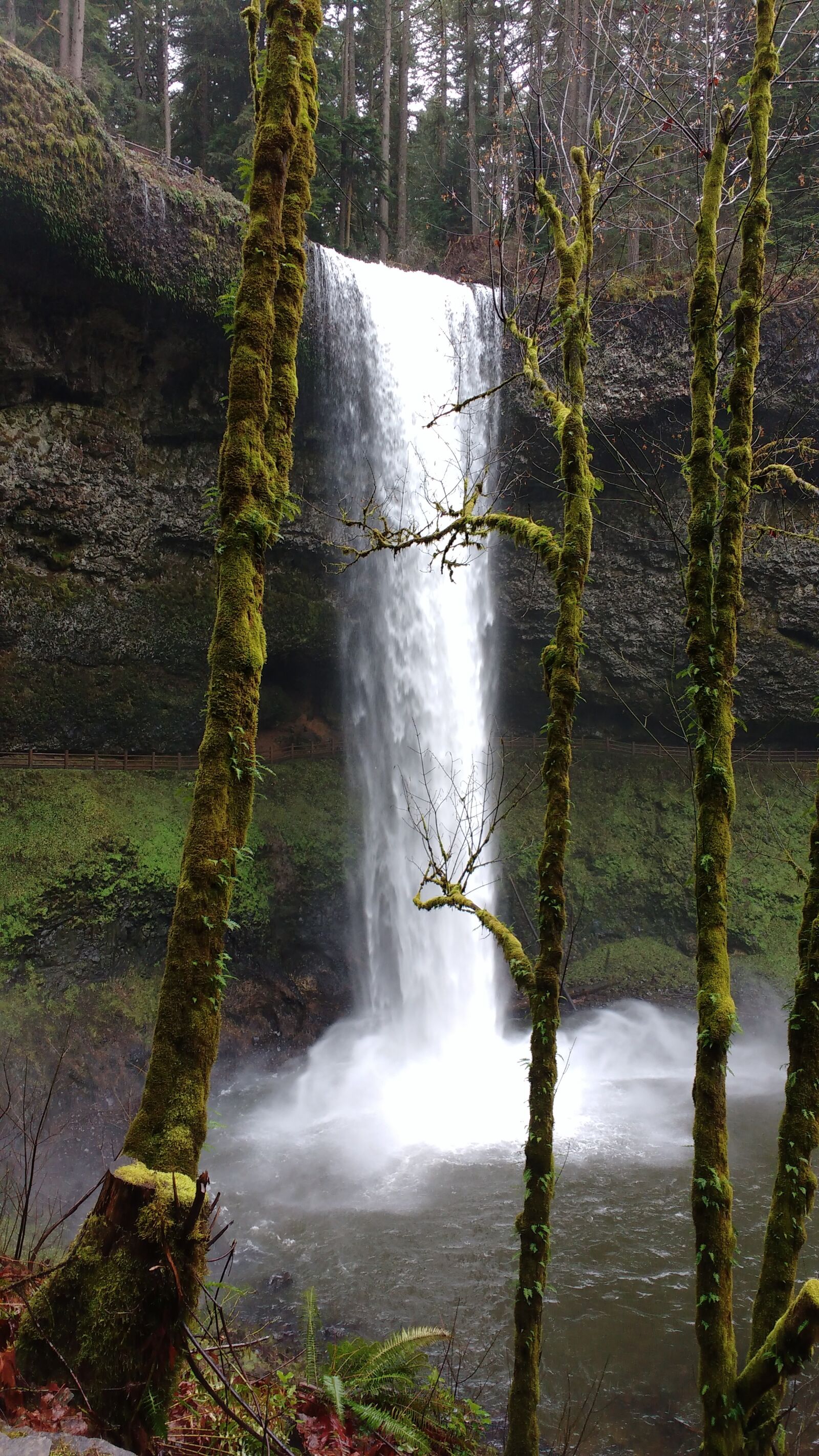 Motorola MotoG3 sample photo. Waterfall, oregon photography