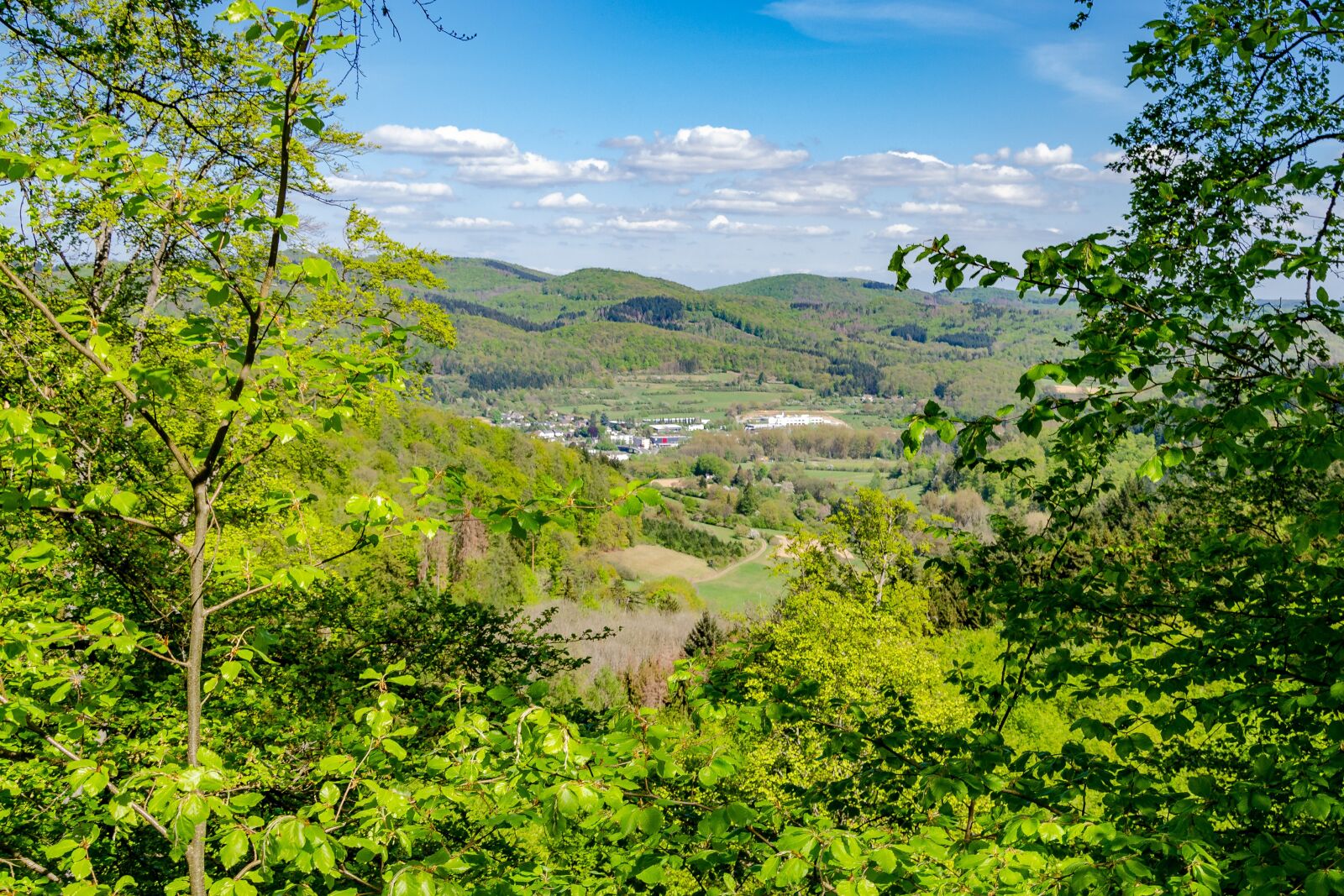 Nikon D7000 sample photo. Forest, biedenkopf, landscape photography