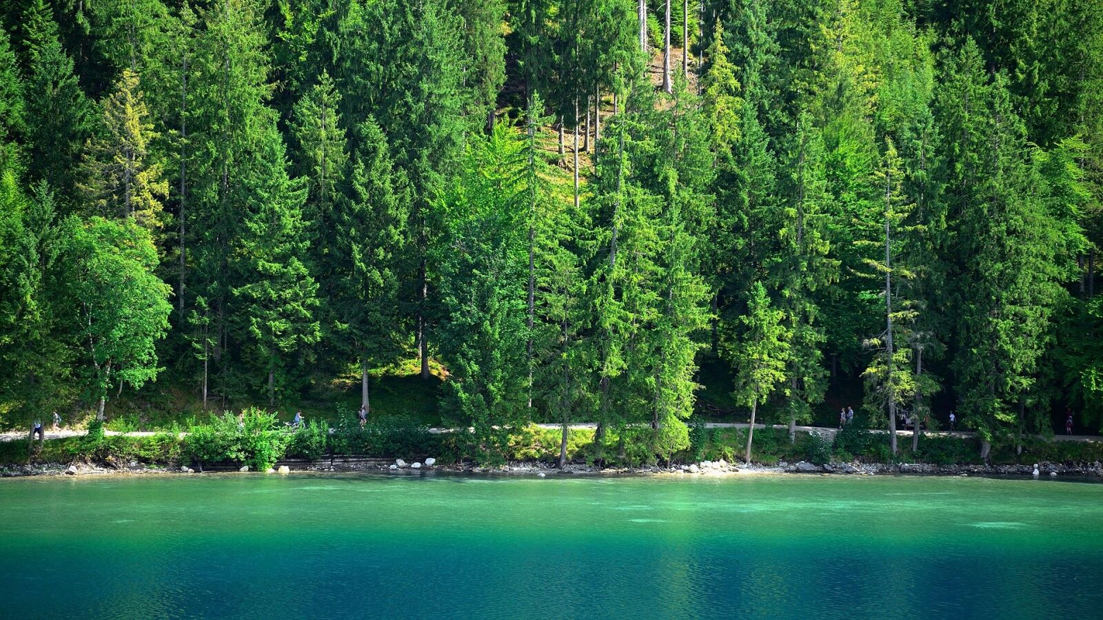 Nikon D800E sample photo. Trees, lake, alpine lake photography