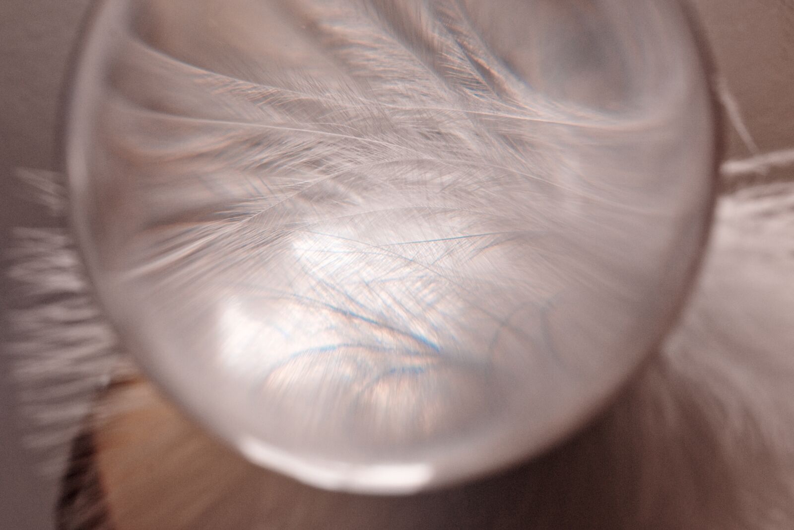 Canon EOS 70D + Canon TAMRON SP 90mm F/2.8 Di VC USD MACRO1:1 F004 sample photo. Glass ball, feather, ease photography