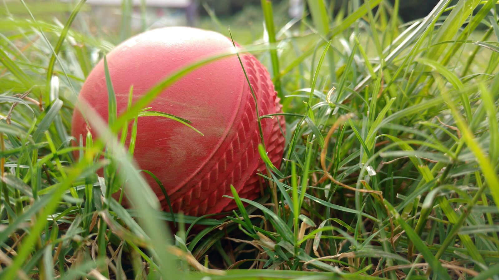 Motorola Moto X Play sample photo. Cricket, ball, grass photography