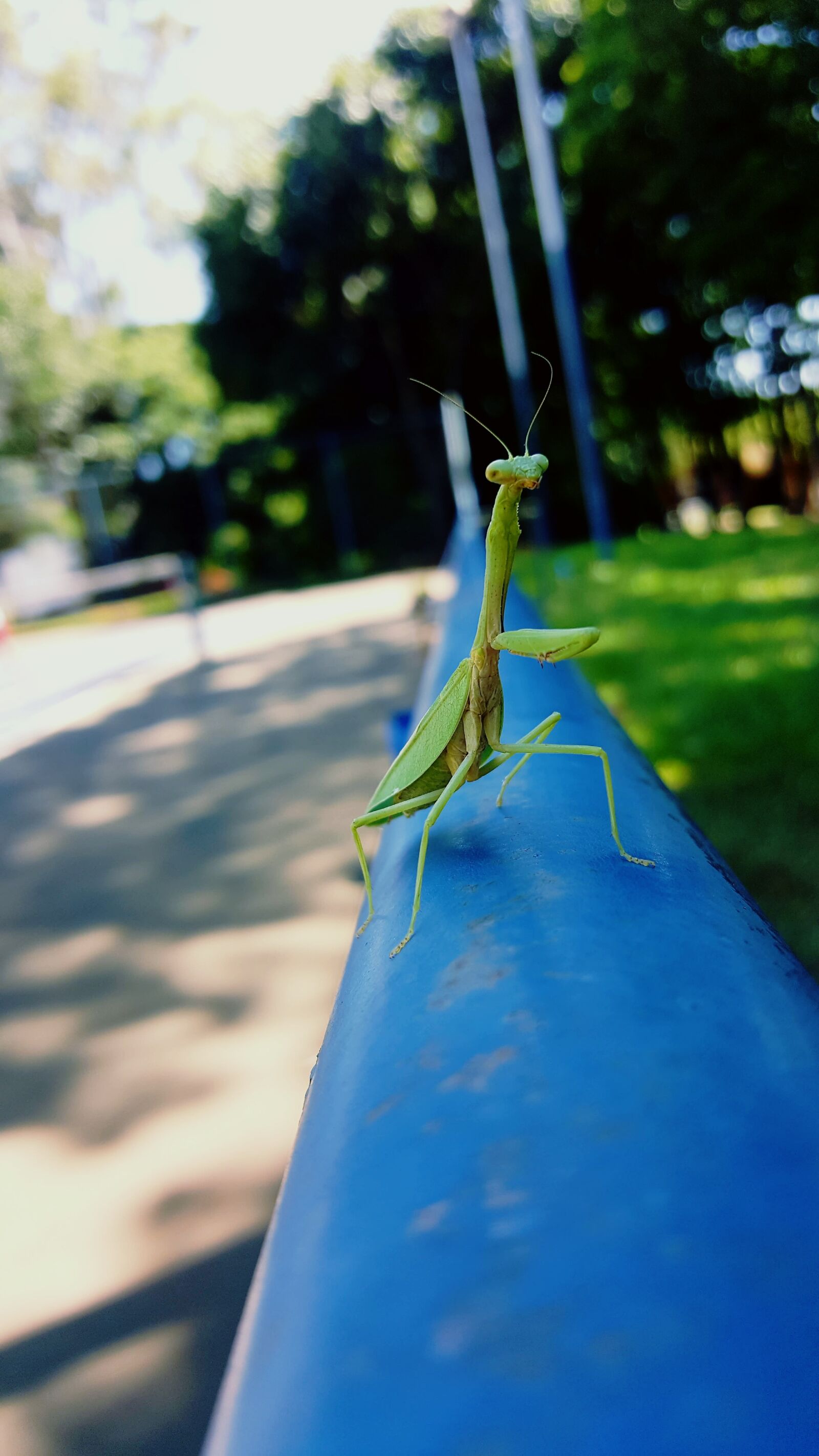 Samsung Galaxy Note5 sample photo. Praise, god, nature photography
