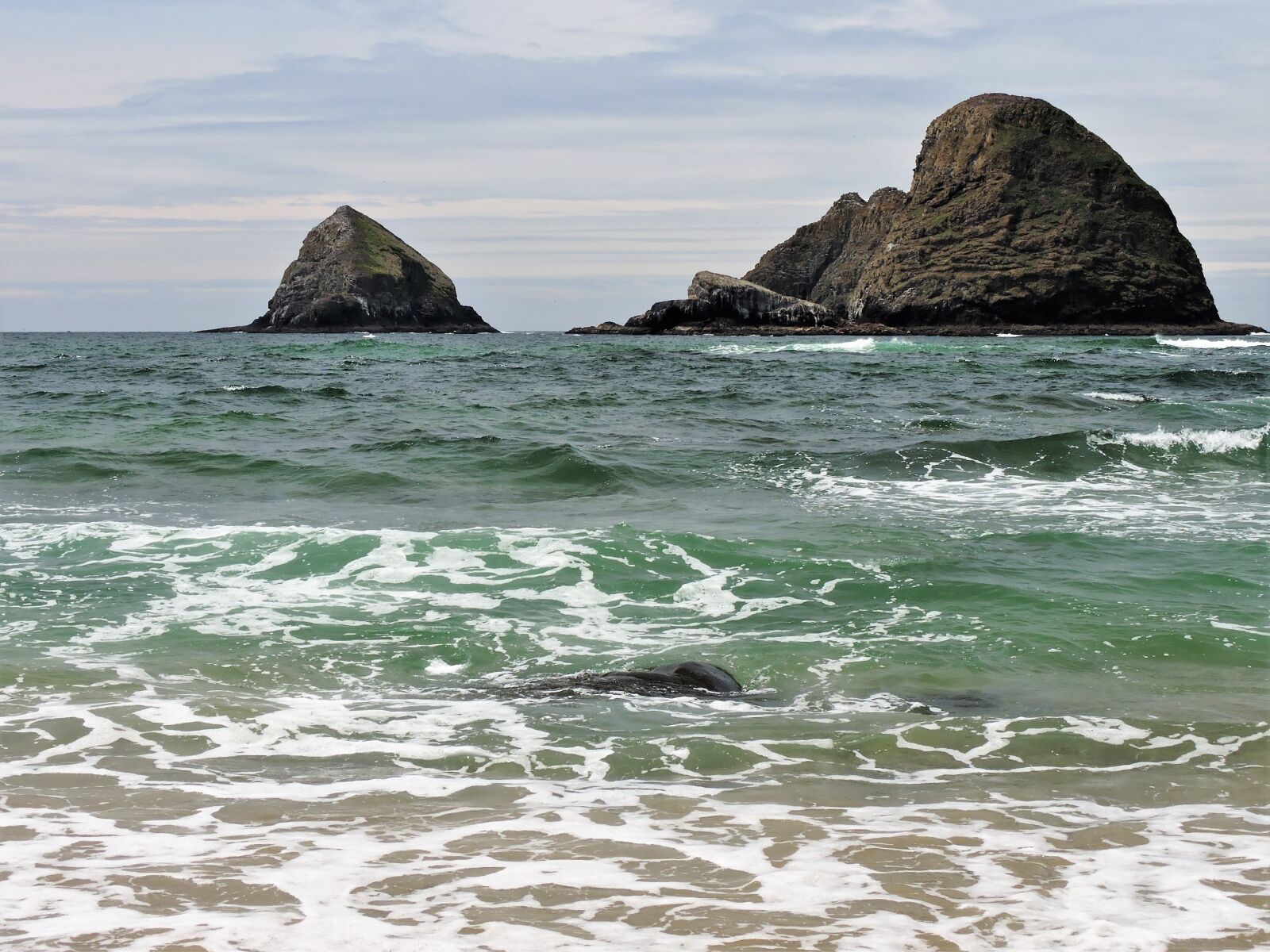 Nikon Coolpix P600 sample photo. Coast, oregon coast, ocean photography