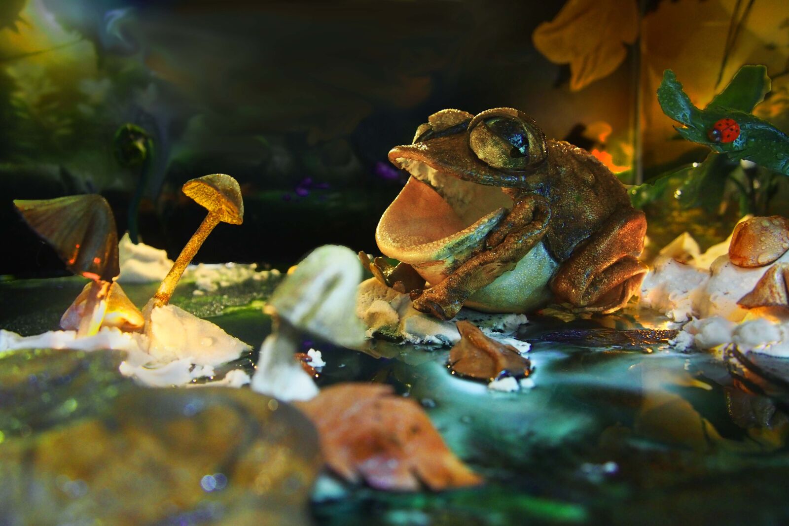 Olympus PEN E-PL6 sample photo. Leather, frog, dark photography