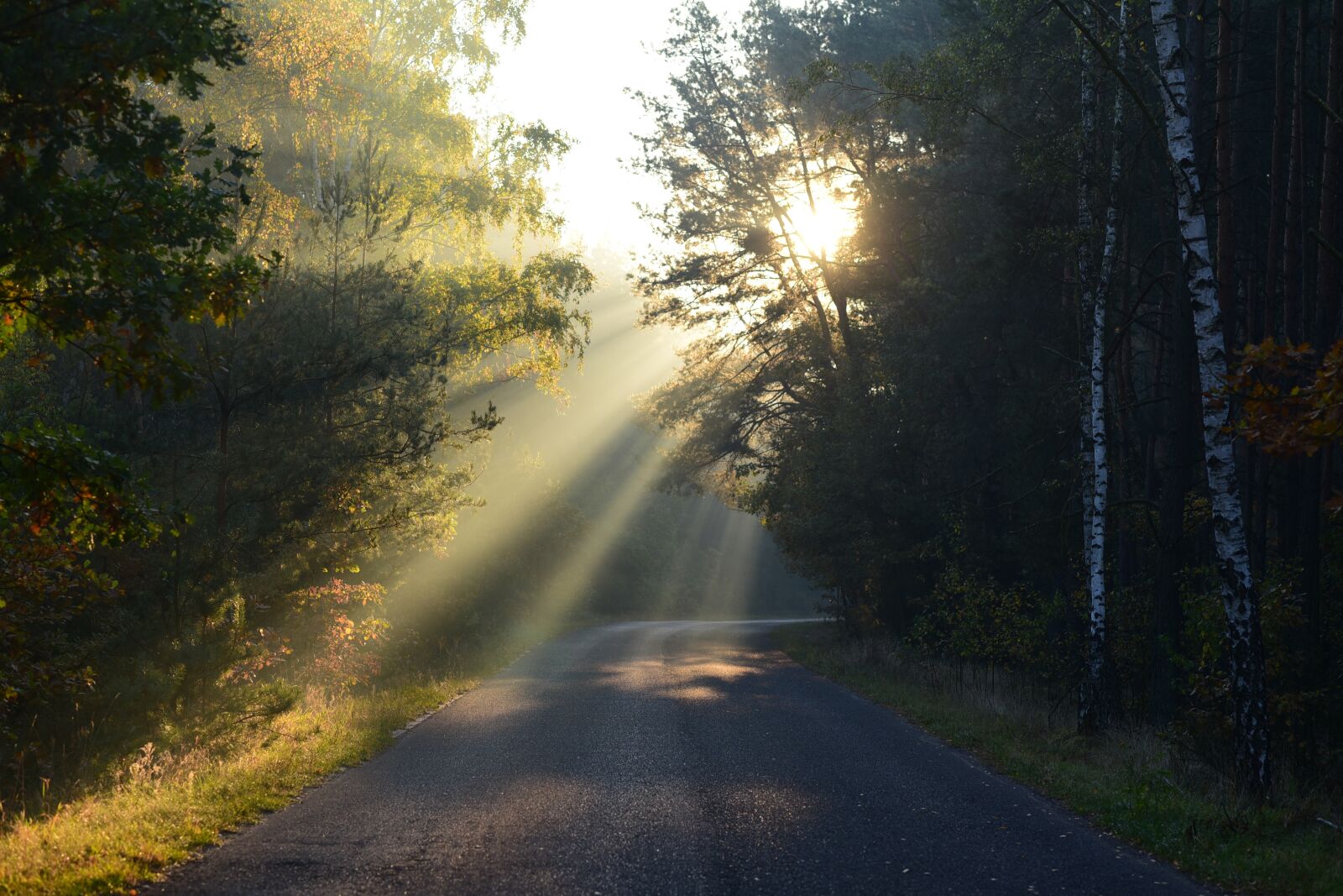 Nikon D750 sample photo. The sun, light, landscape photography