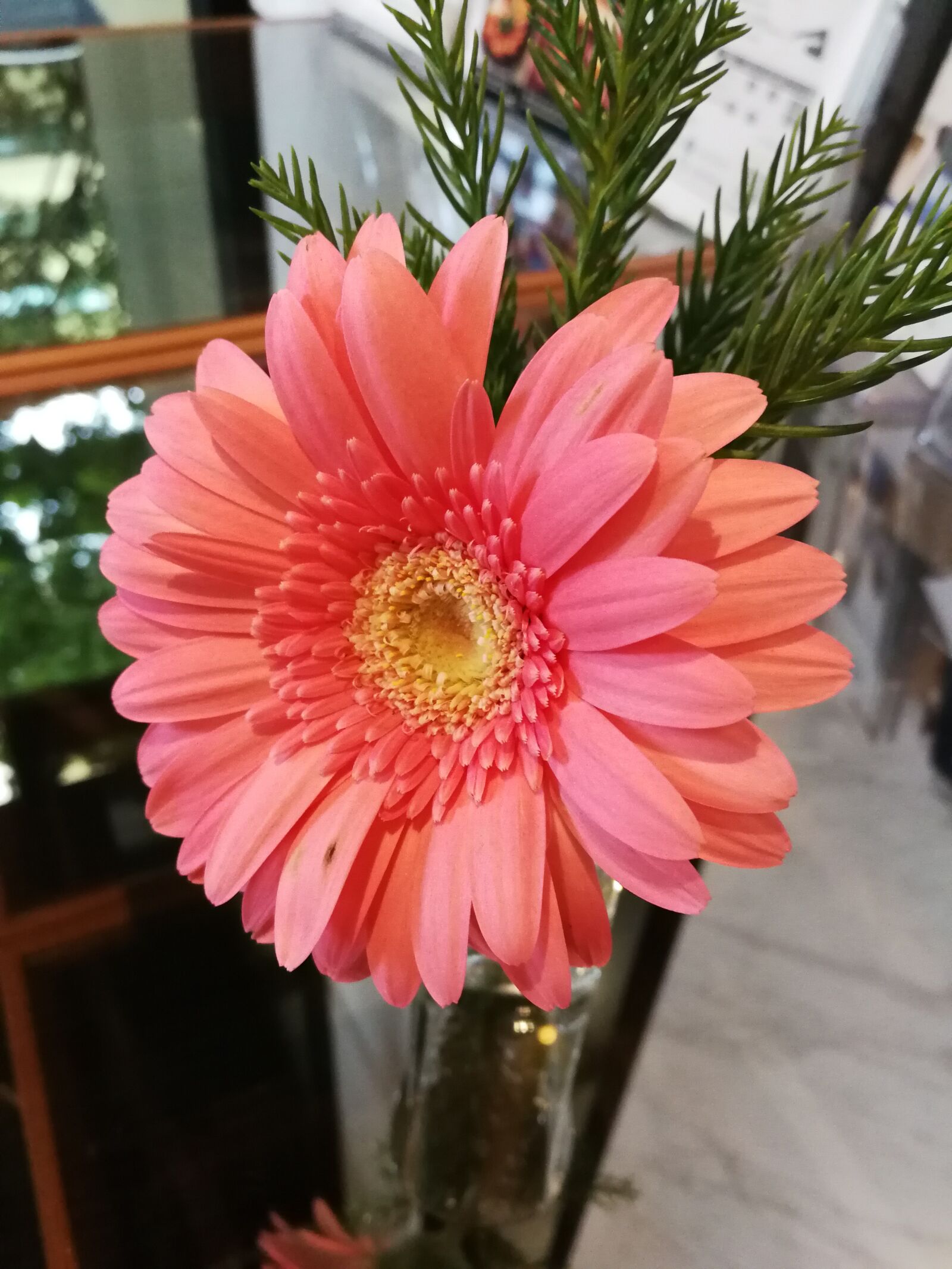 HUAWEI P10 sample photo. Flowers, pink, flower photography