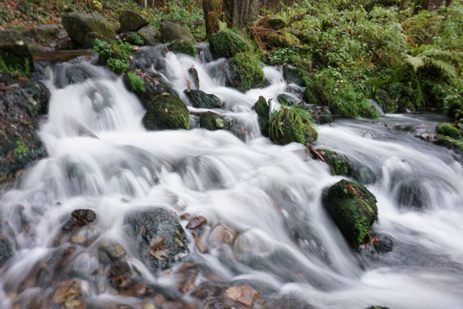 Sony E 16-50mm F3.5-5.6 PZ OSS sample photo. Waterfall, green, flow photography