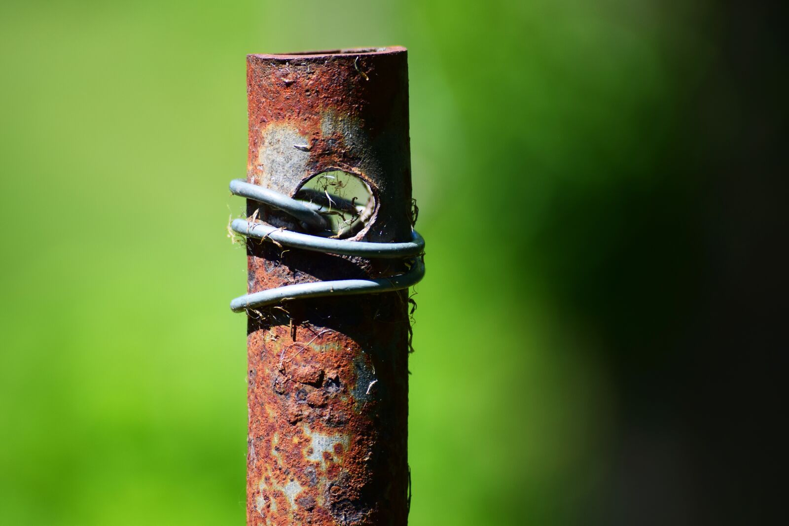 Nikon D5300 sample photo. Fence post, tube, garden photography