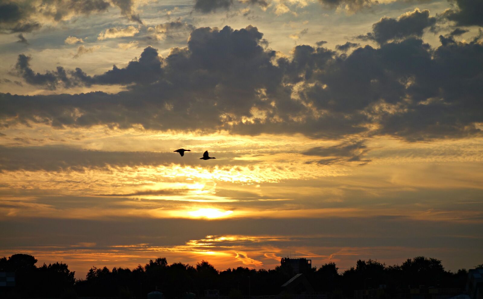 Sony Cyber-shot DSC-RX100 sample photo. Sunset, evening, clouds photography