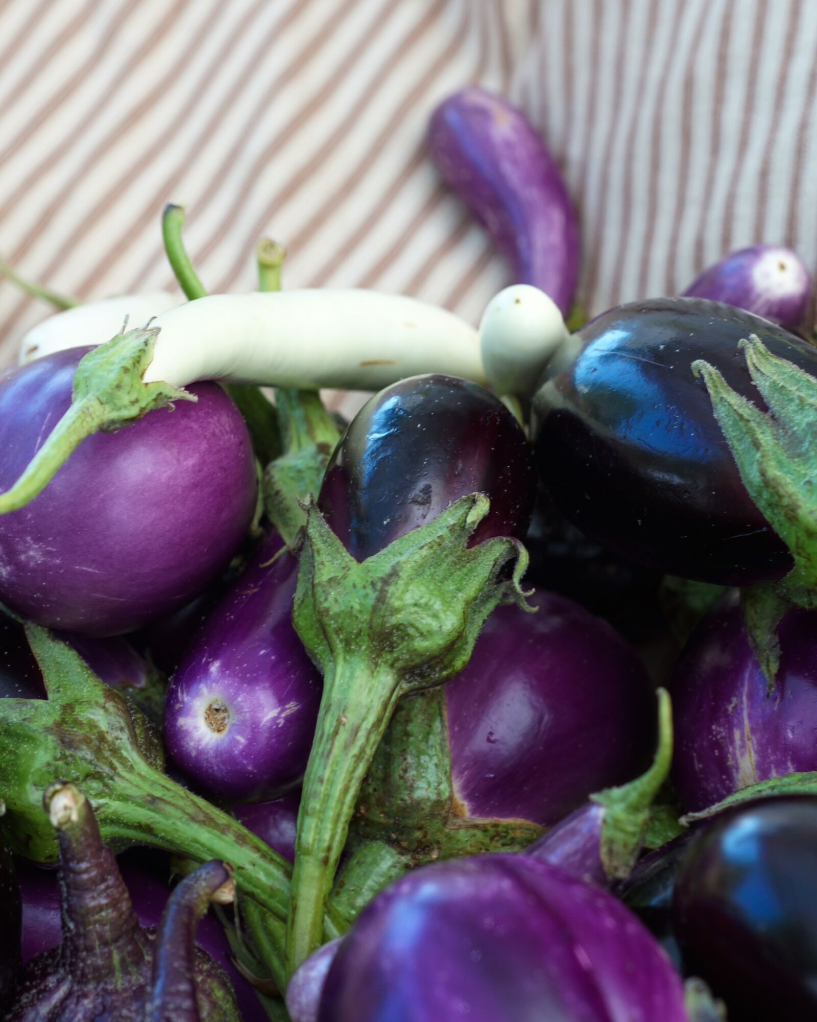 Sony SLT-A65 (SLT-A65V) sample photo. Eggplant, purple, market photography