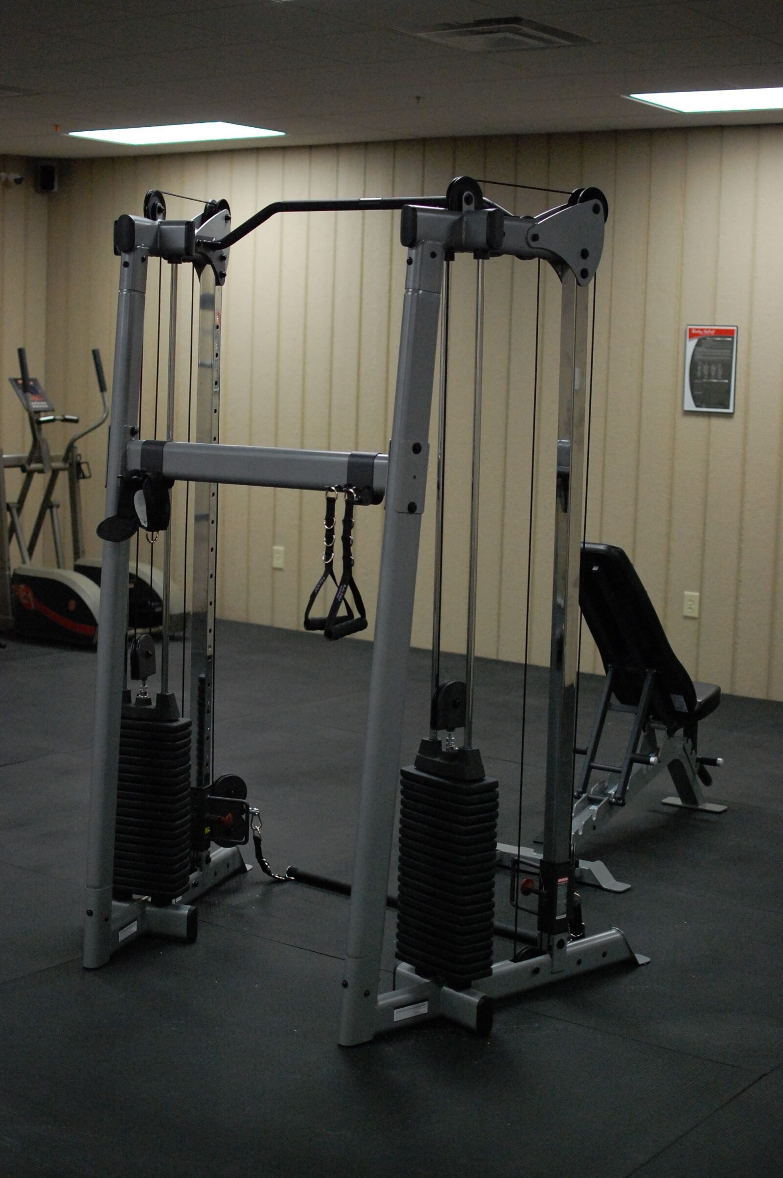 Nikon D40 sample photo. Fitness, workout, training photography