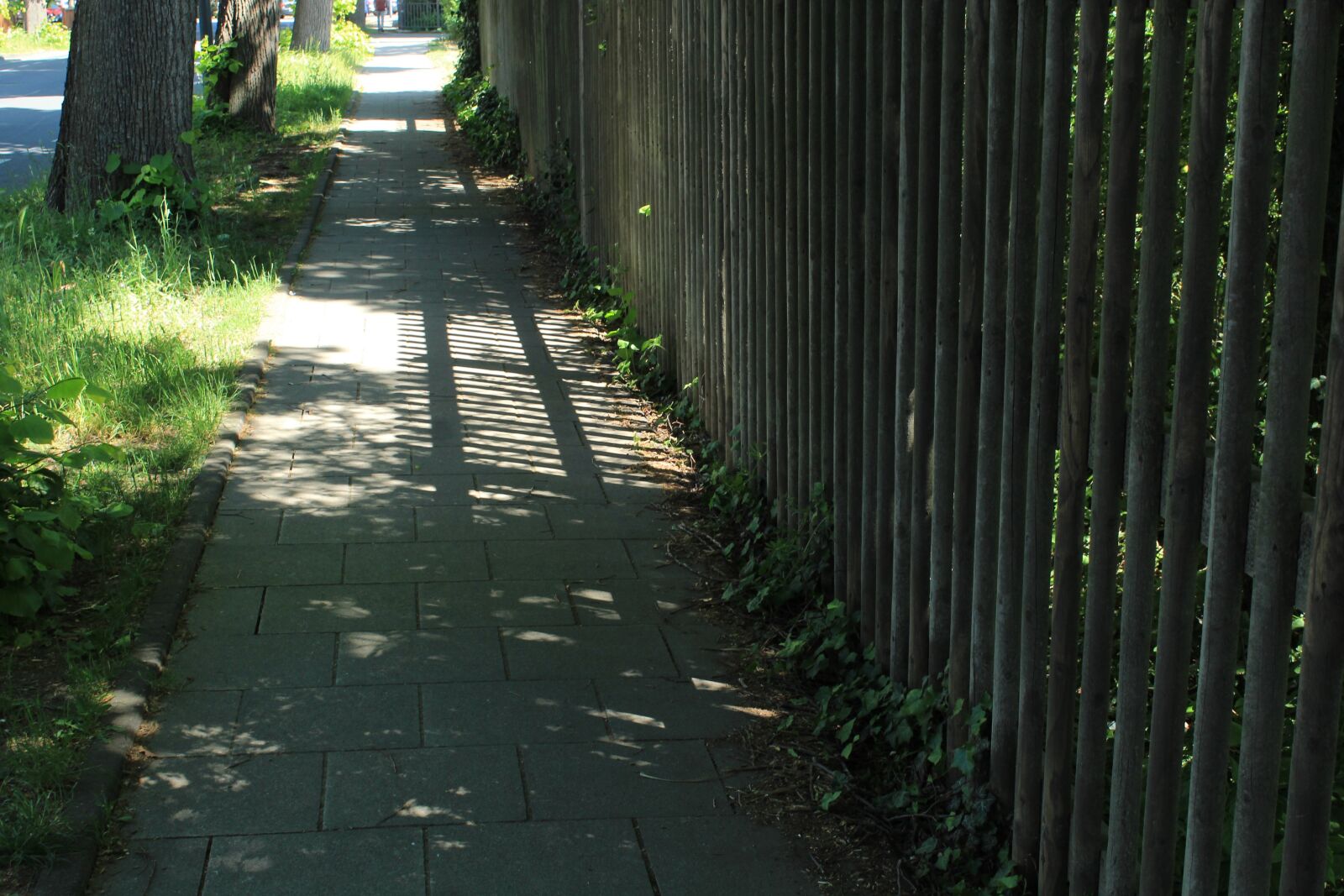 Canon EOS 1200D (EOS Rebel T5 / EOS Kiss X70 / EOS Hi) sample photo. Light, shadow, sun photography