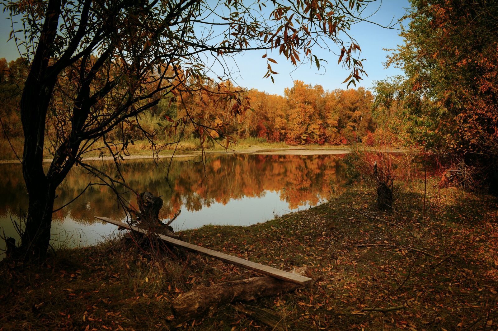 Nikon D5000 sample photo. Autumn, river, forest photography