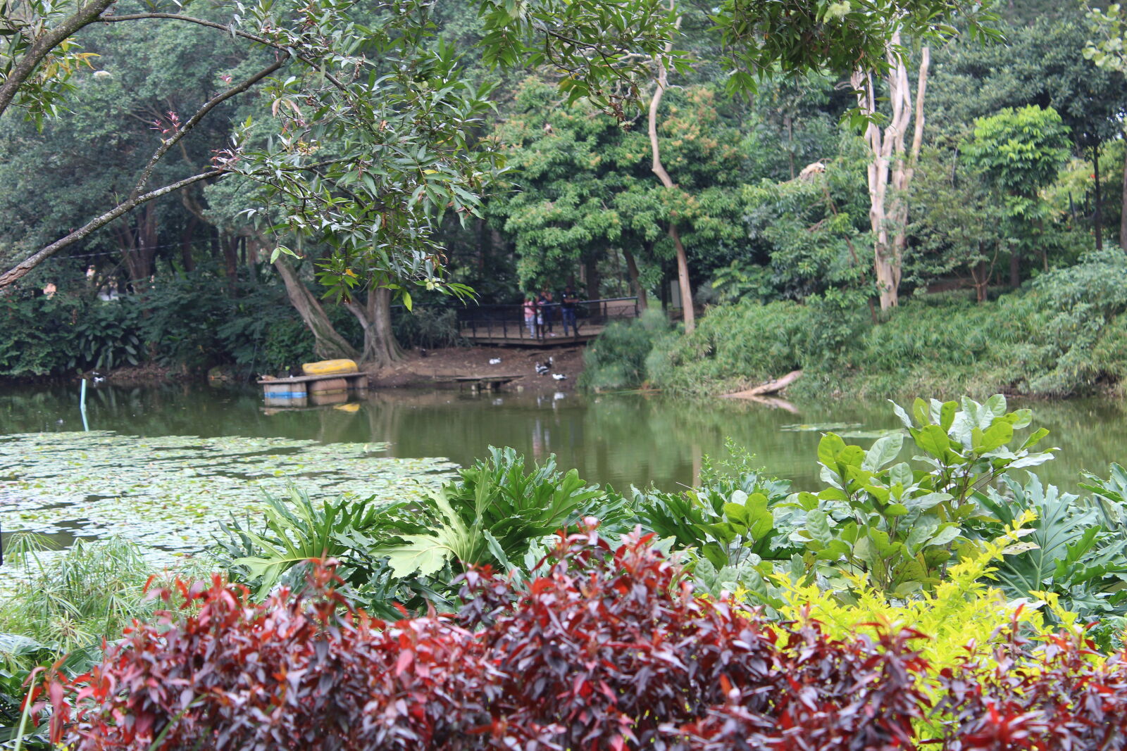 Canon EOS 1300D (EOS Rebel T6 / EOS Kiss X80) sample photo