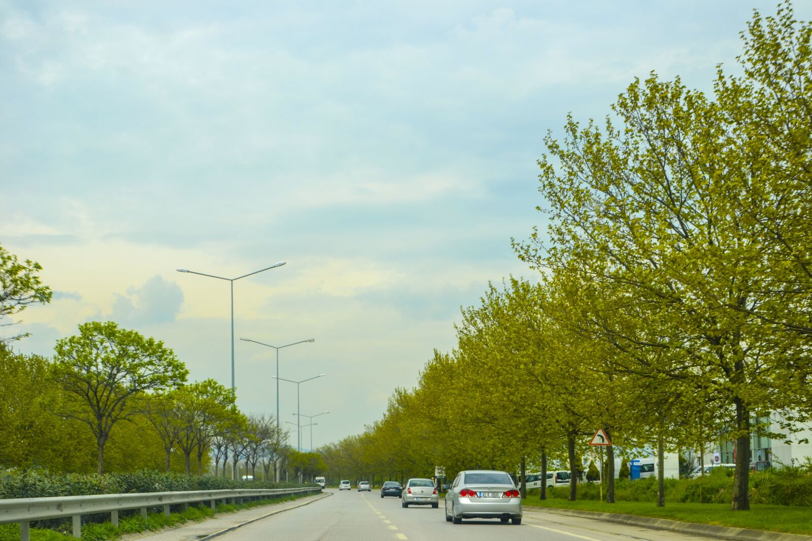 Nikon D3100 sample photo. Road, long way, tree photography