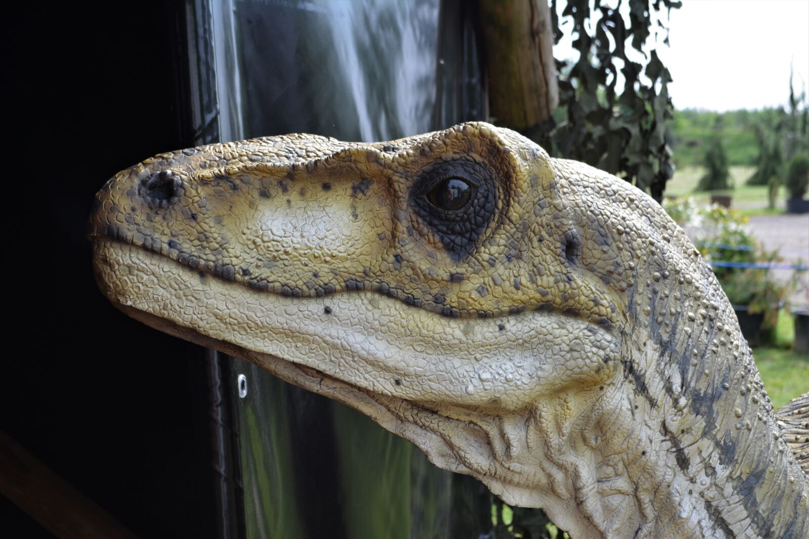 Nikon D5200 sample photo. Dinosaur, dino, carnivorous dinosaurs photography