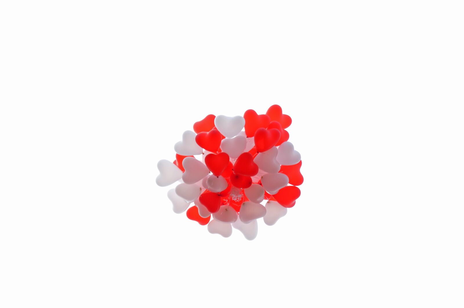 Nikon D300 sample photo. Balloon, heart, red photography