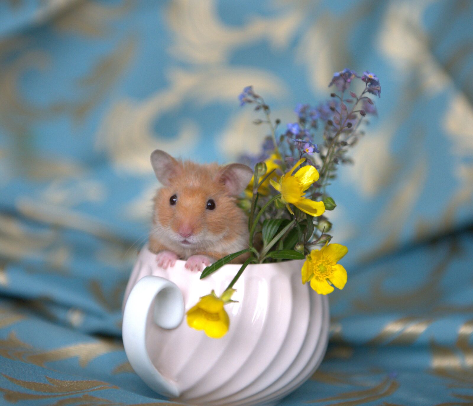 Nikon D850 sample photo. Mouse, flowers, mug photography