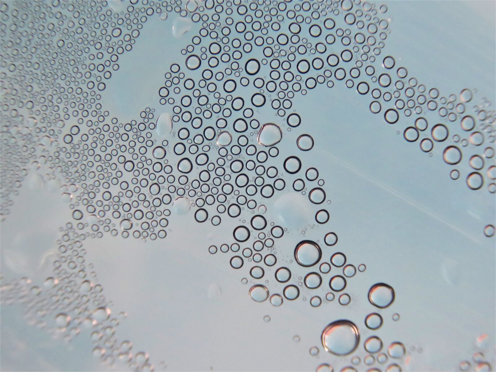 Canon PowerShot SX60 HS sample photo. Water, droplet, rain photography