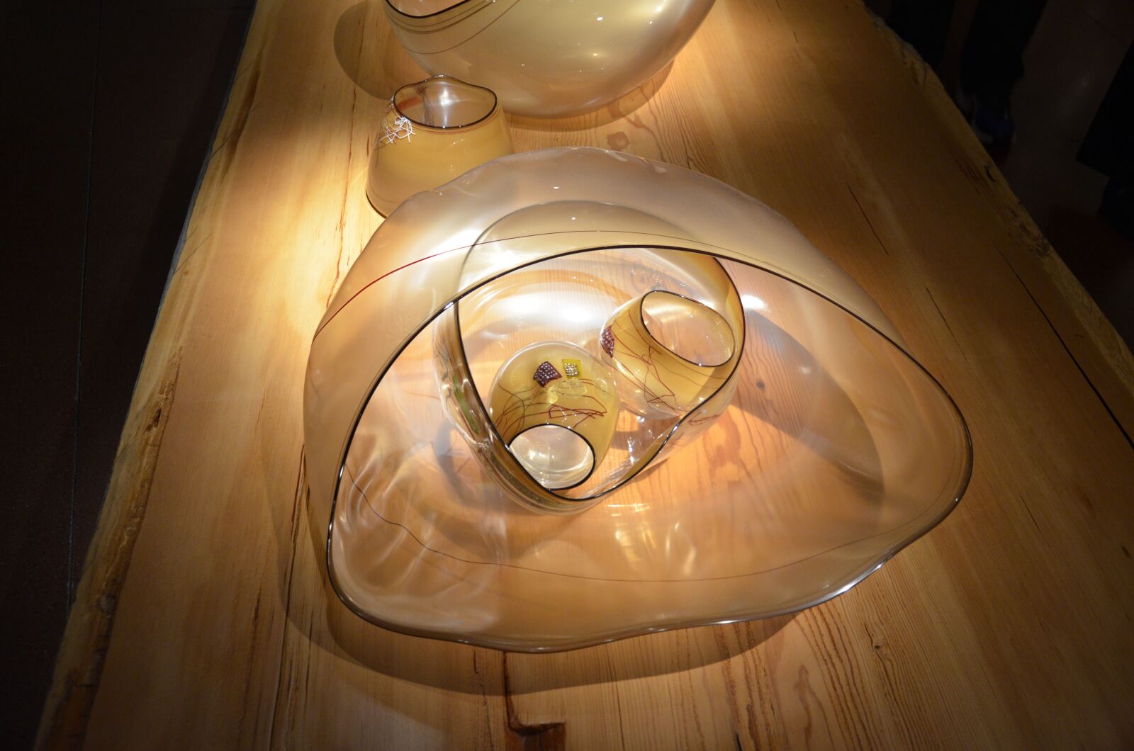 Nikon D7000 sample photo. Chihully, glass, the glass photography