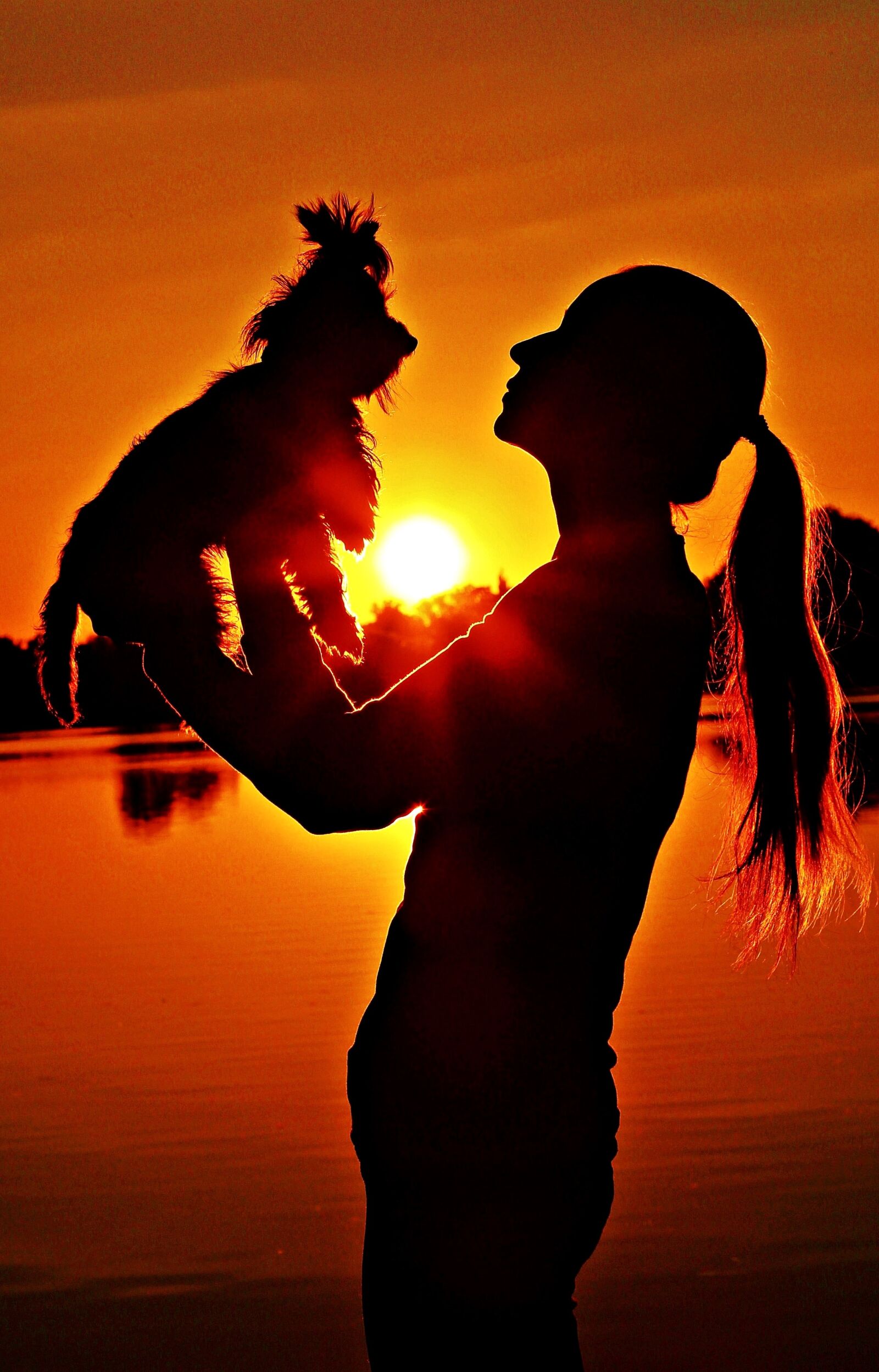 Canon EOS 600D (Rebel EOS T3i / EOS Kiss X5) sample photo. Yorkie, woman, silhouette photography