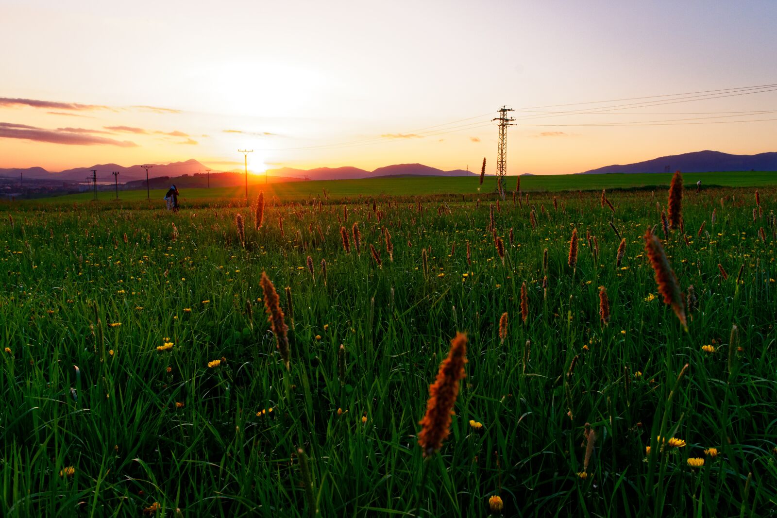 Nikon D3300 sample photo. Sunset, sun, nature photography