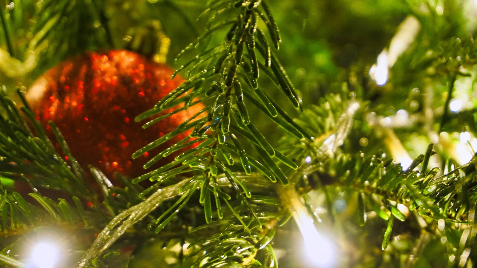 Sony a6000 sample photo. Christmas, decoration, christmas time photography