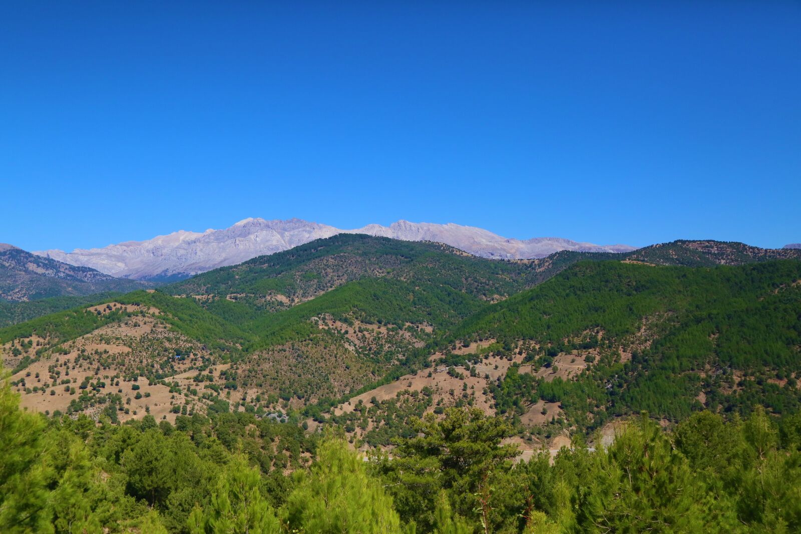 Canon EF 24-105mm F4L IS USM sample photo. Landscape, nature, sky photography