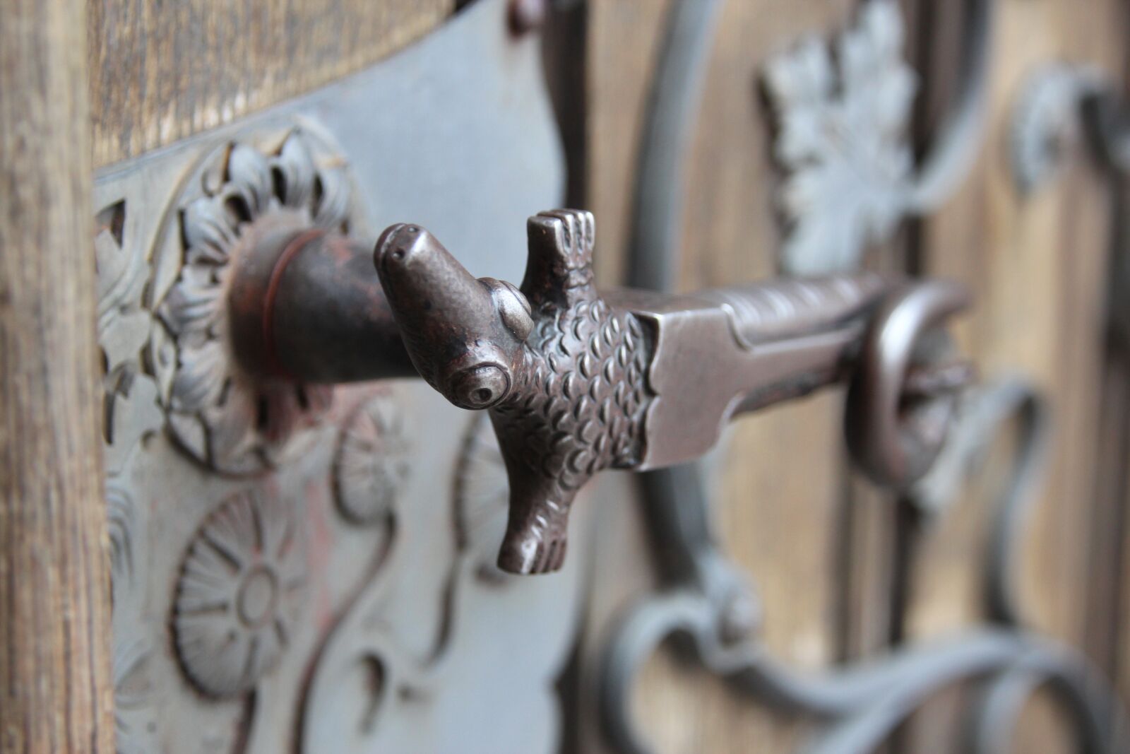 Canon EOS 600D (Rebel EOS T3i / EOS Kiss X5) sample photo. Door handle, metalwork, the photography