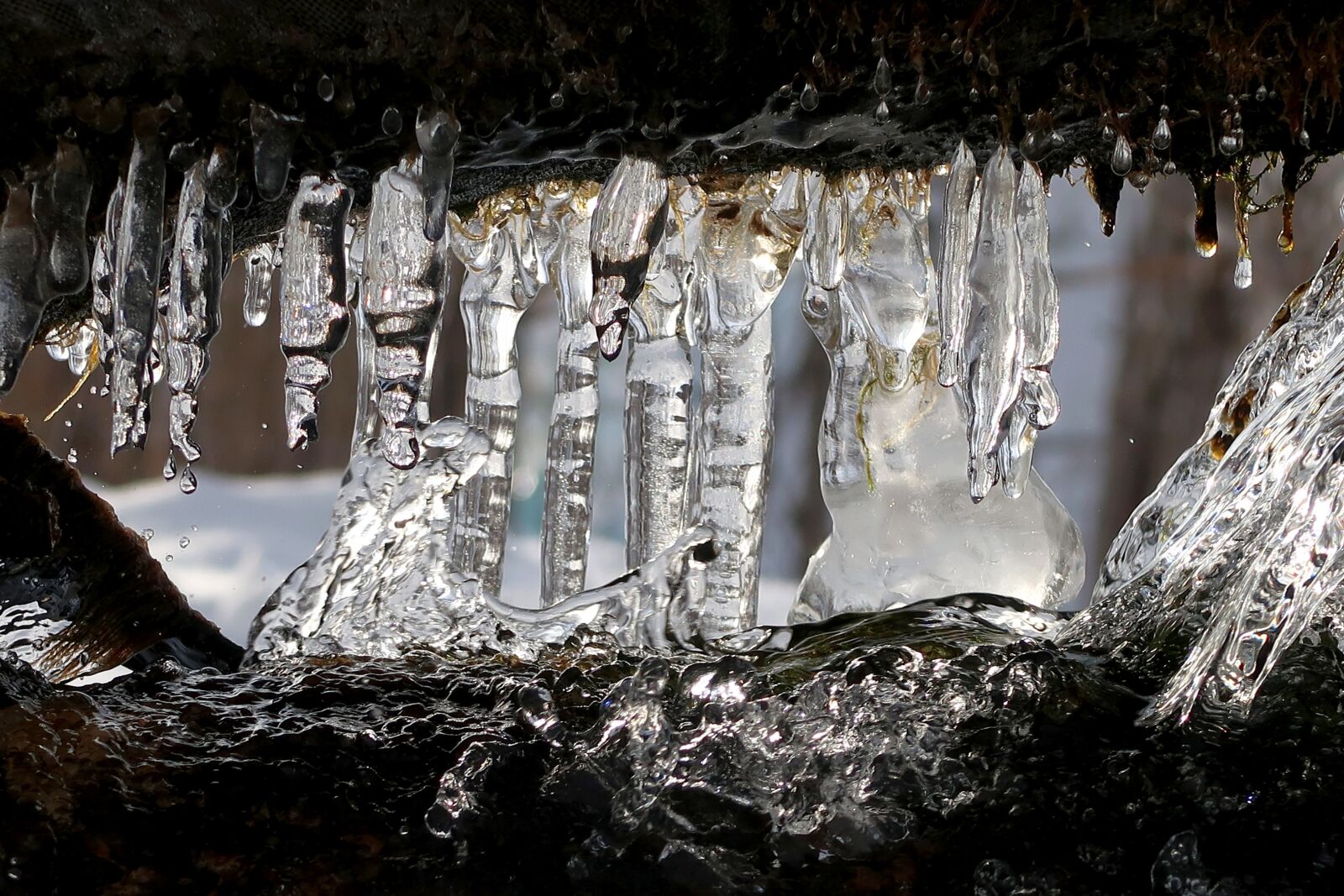 Canon PowerShot G7 X Mark II sample photo. Icicles, snow, winter photography