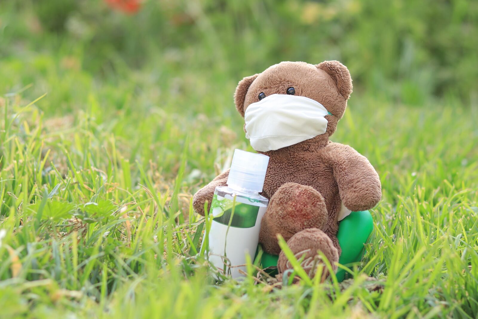 Canon EOS 80D sample photo. Bear, mask, corona photography