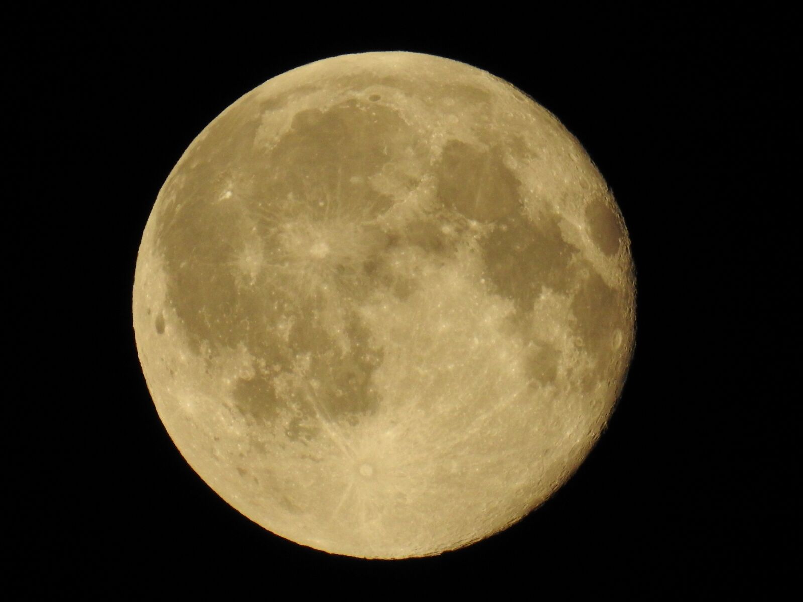Nikon Coolpix P900 sample photo. Moon, close up, full photography