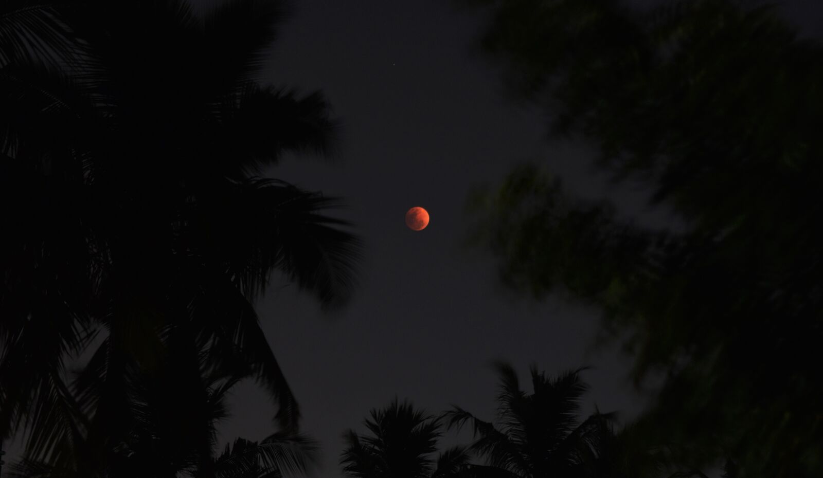 Nikon D3300 sample photo. Moon, red, sky photography