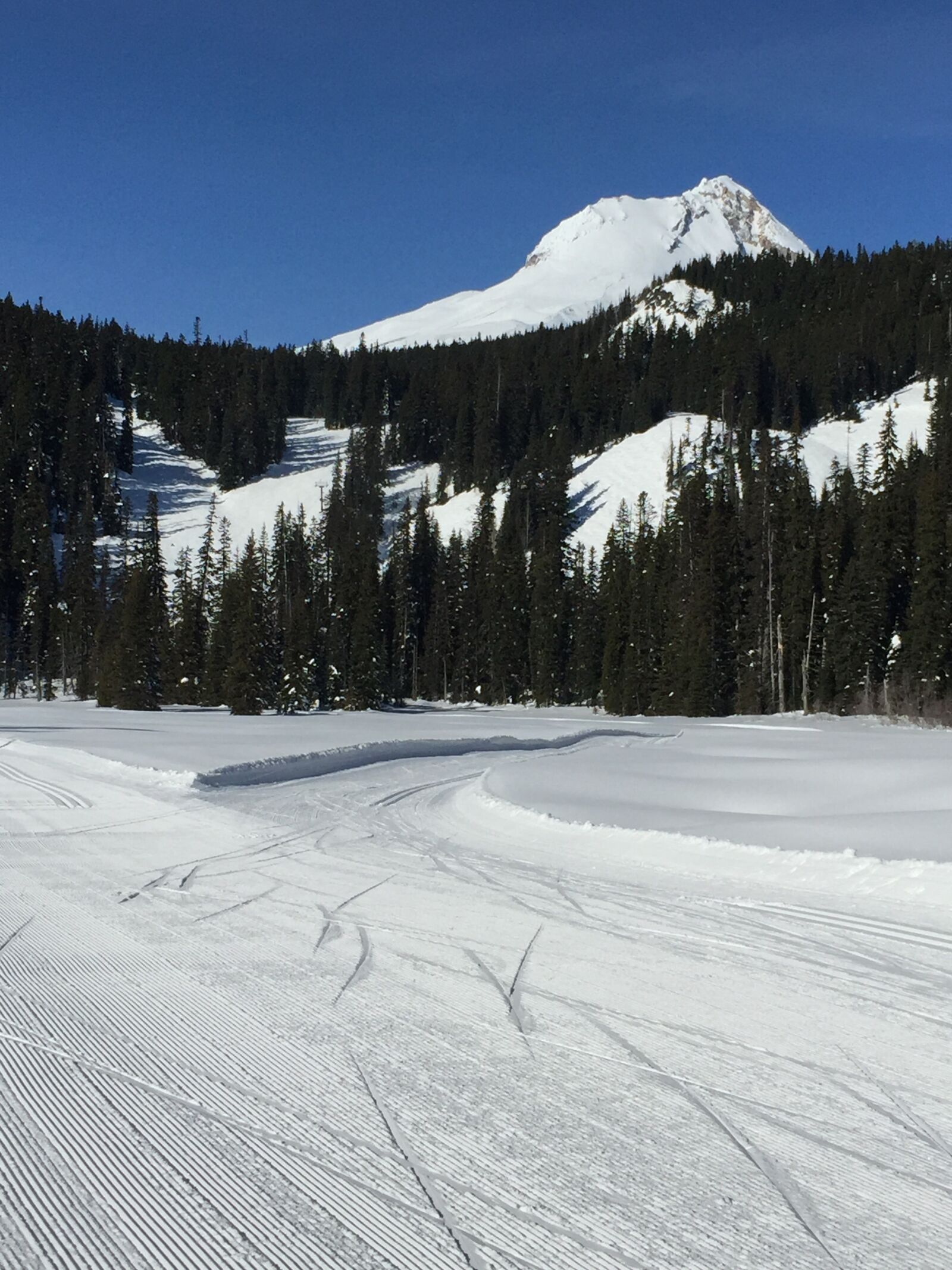 Apple iPhone 6 sample photo. Mt, hood, nordic photography